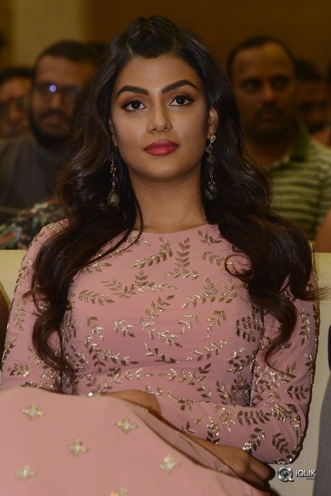 Anisha-Ambrose-At-Okkadu-Migiladu-Movie-Pre-Release-Function